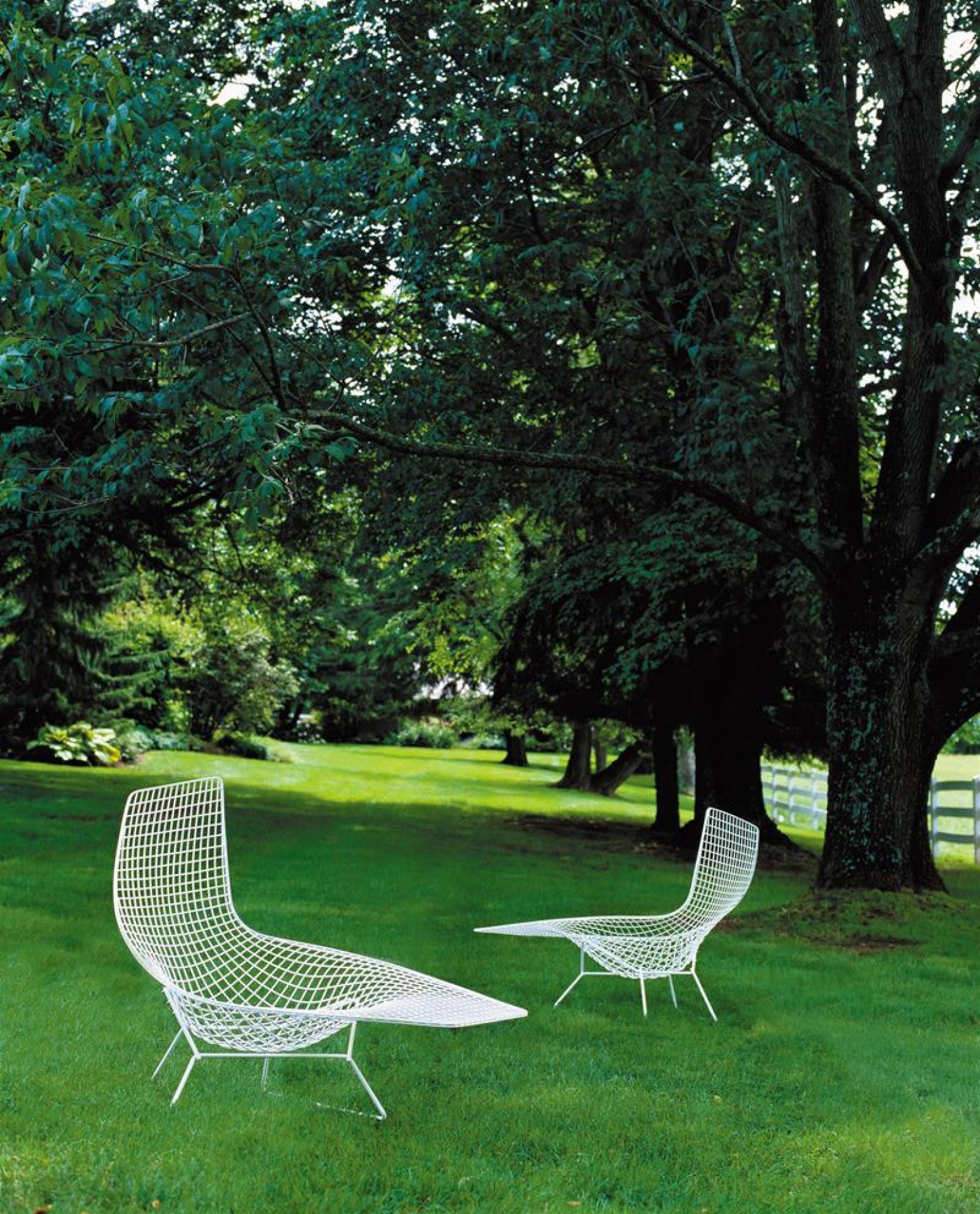Fauteuil knoll bertoia cheap